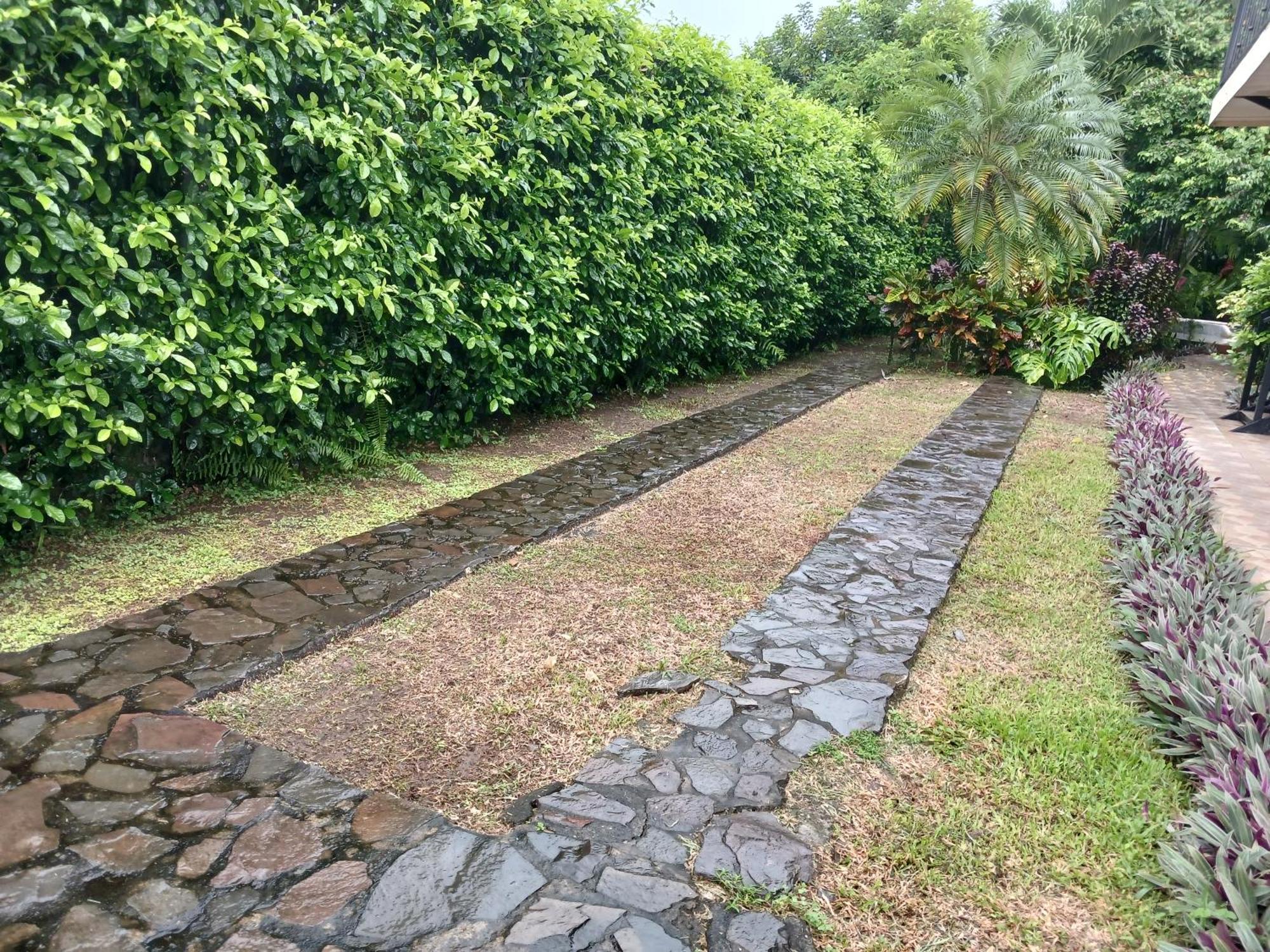 San Gabriel Apartments La Fortuna 외부 사진